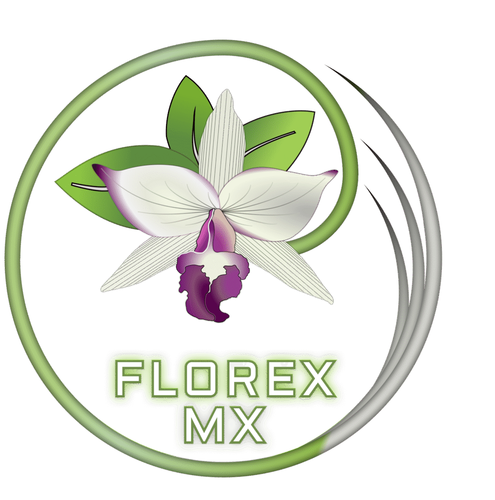 florex mx