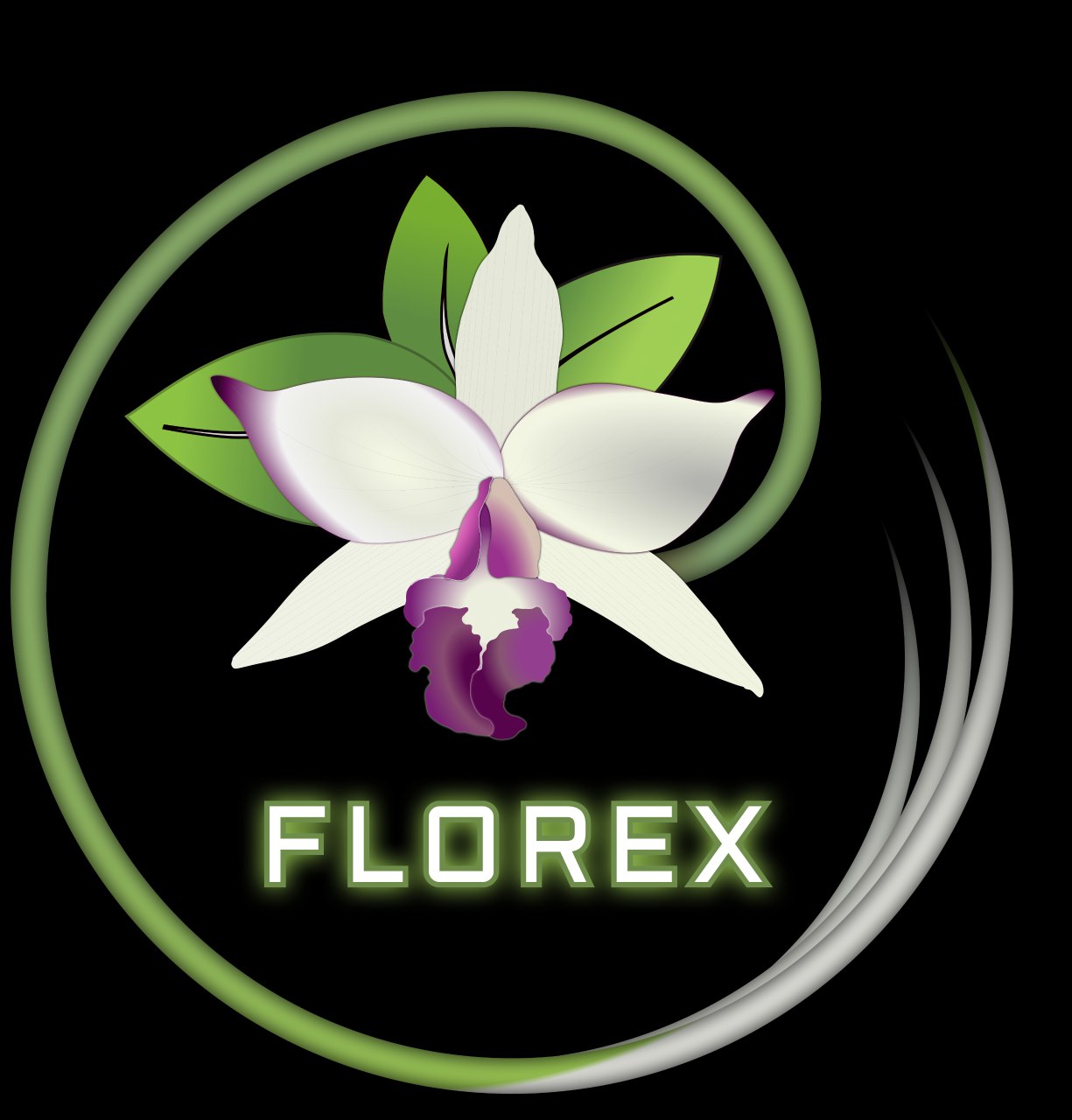 florexmx.com