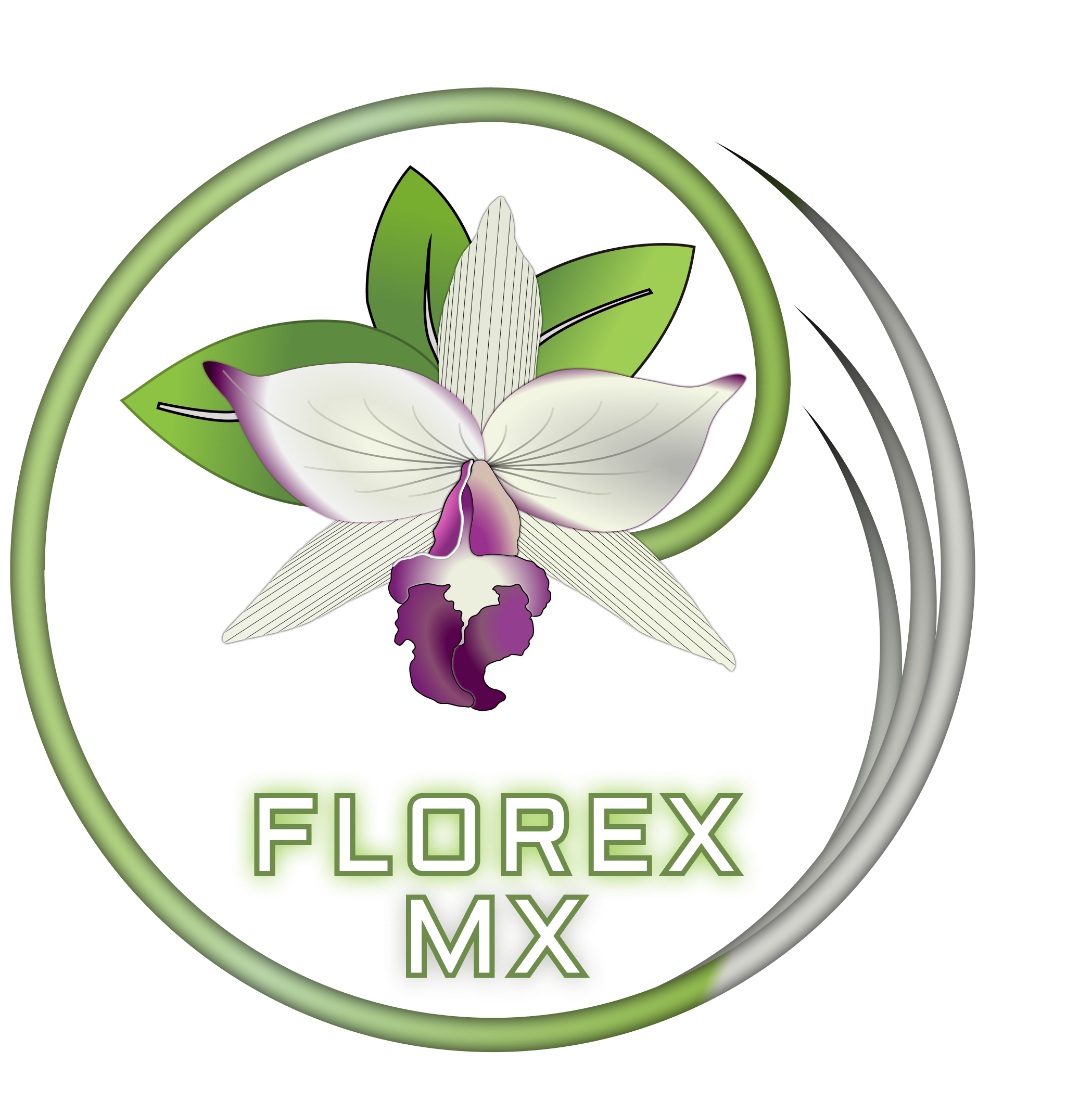 florex mx